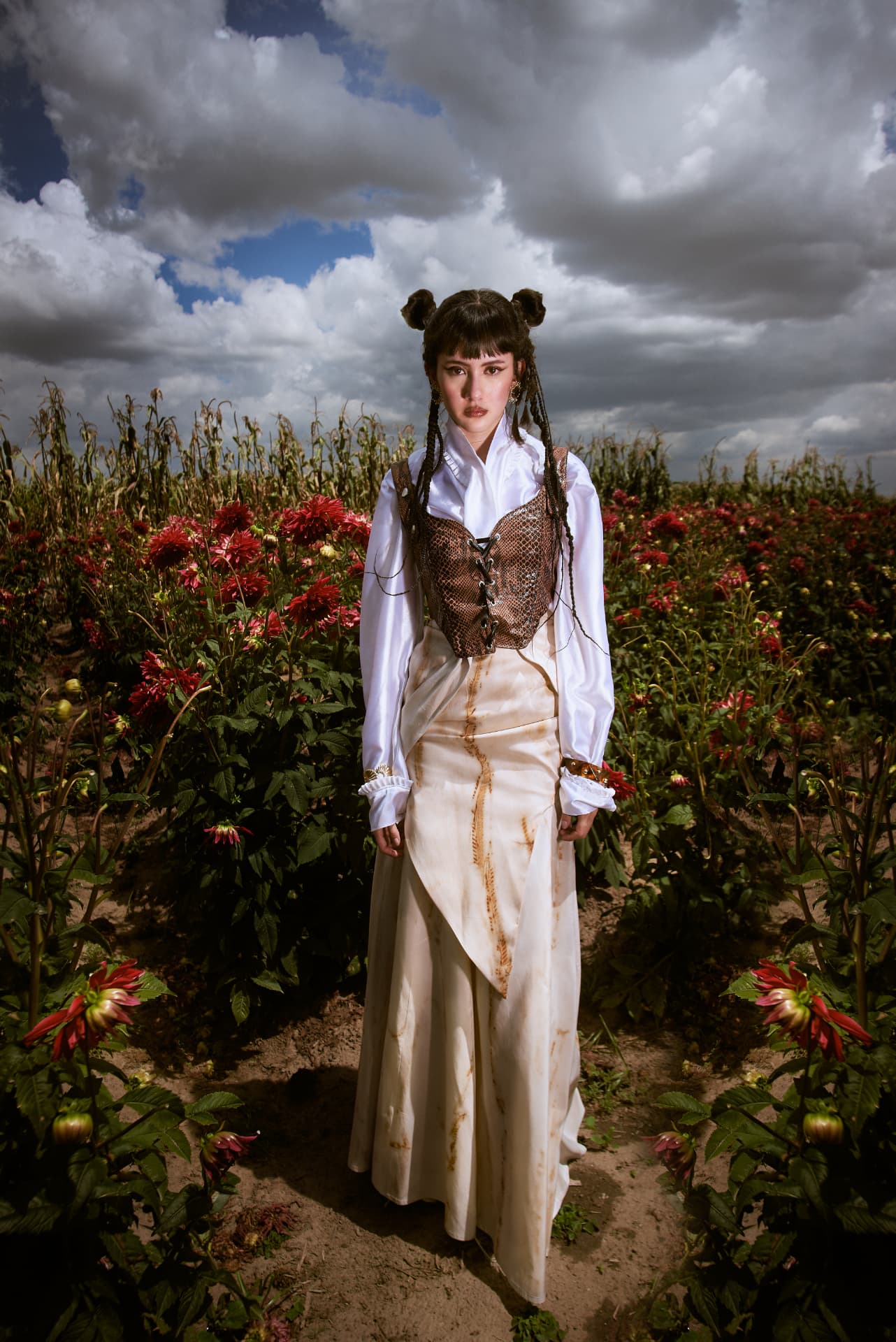 DAHLIA FIELDS — 4