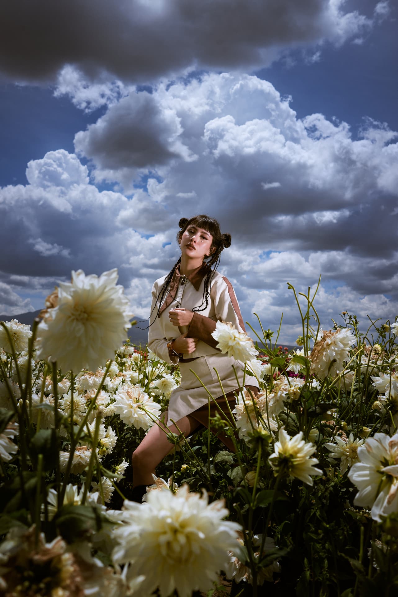 DAHLIA FIELDS — 2