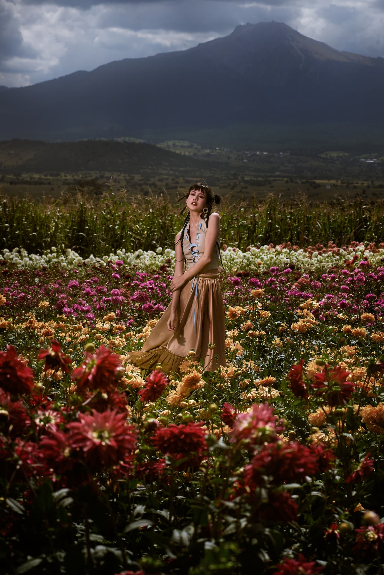 DAHLIA FIELDS — 5