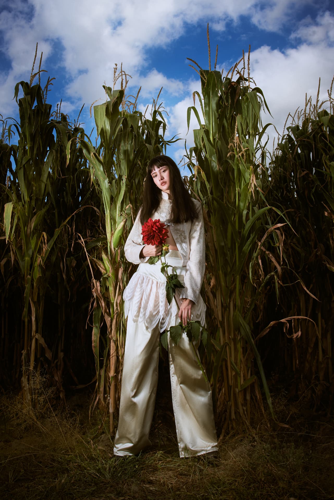 DAHLIA FIELDS — 11