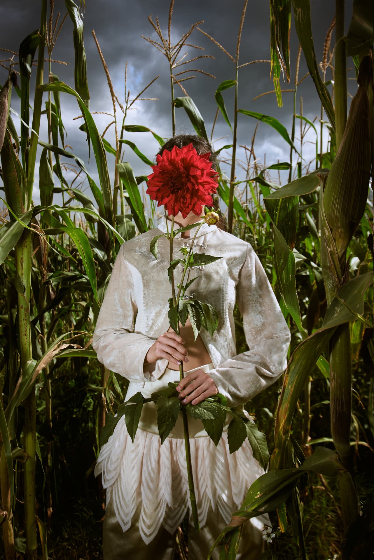 DAHLIA FIELDS — 10