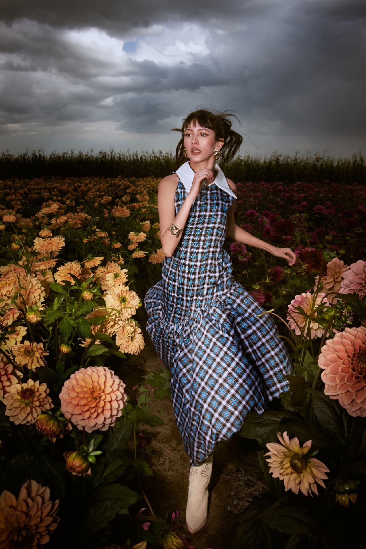 DAHLIA FIELDS — 9