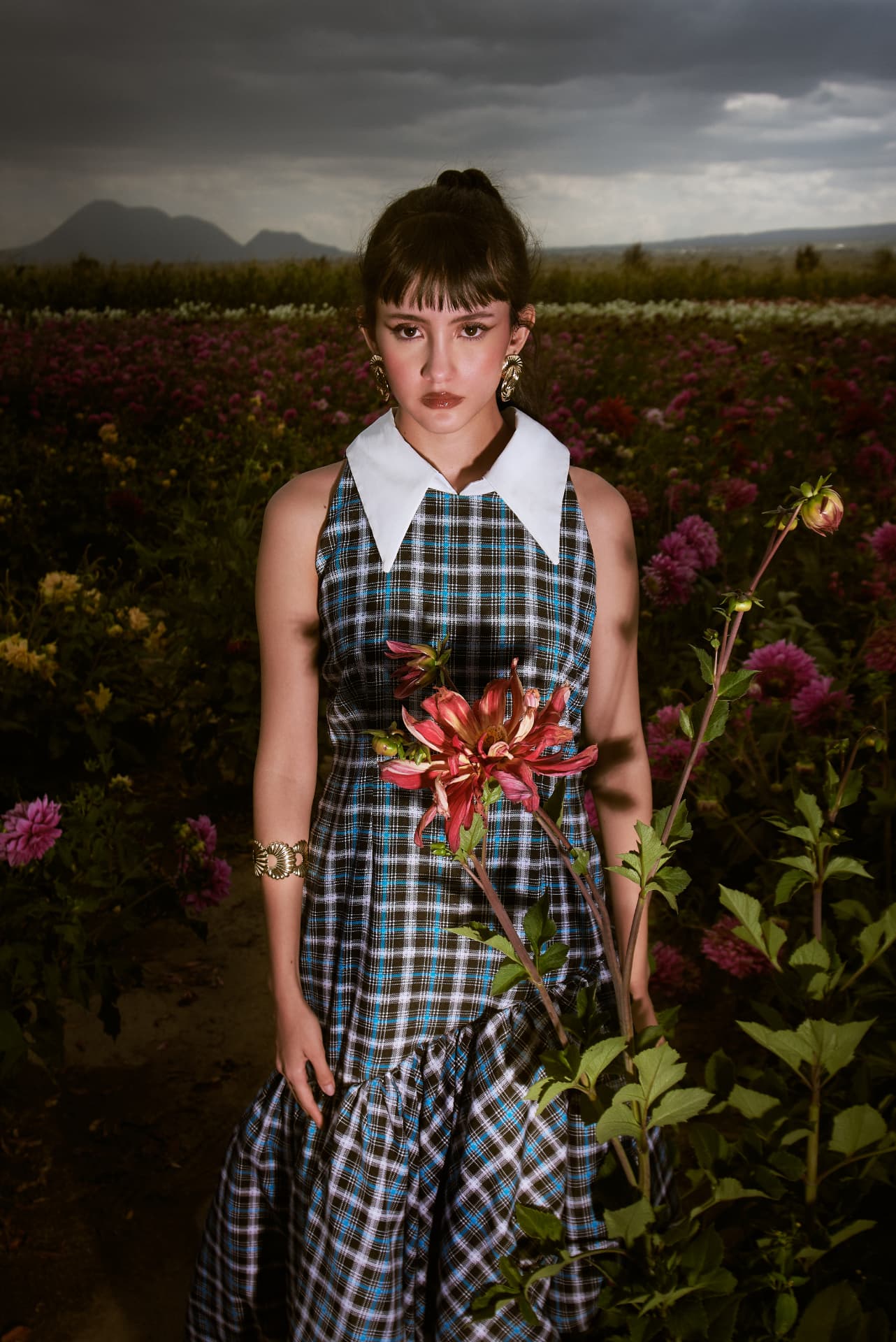 DAHLIA FIELDS — 8