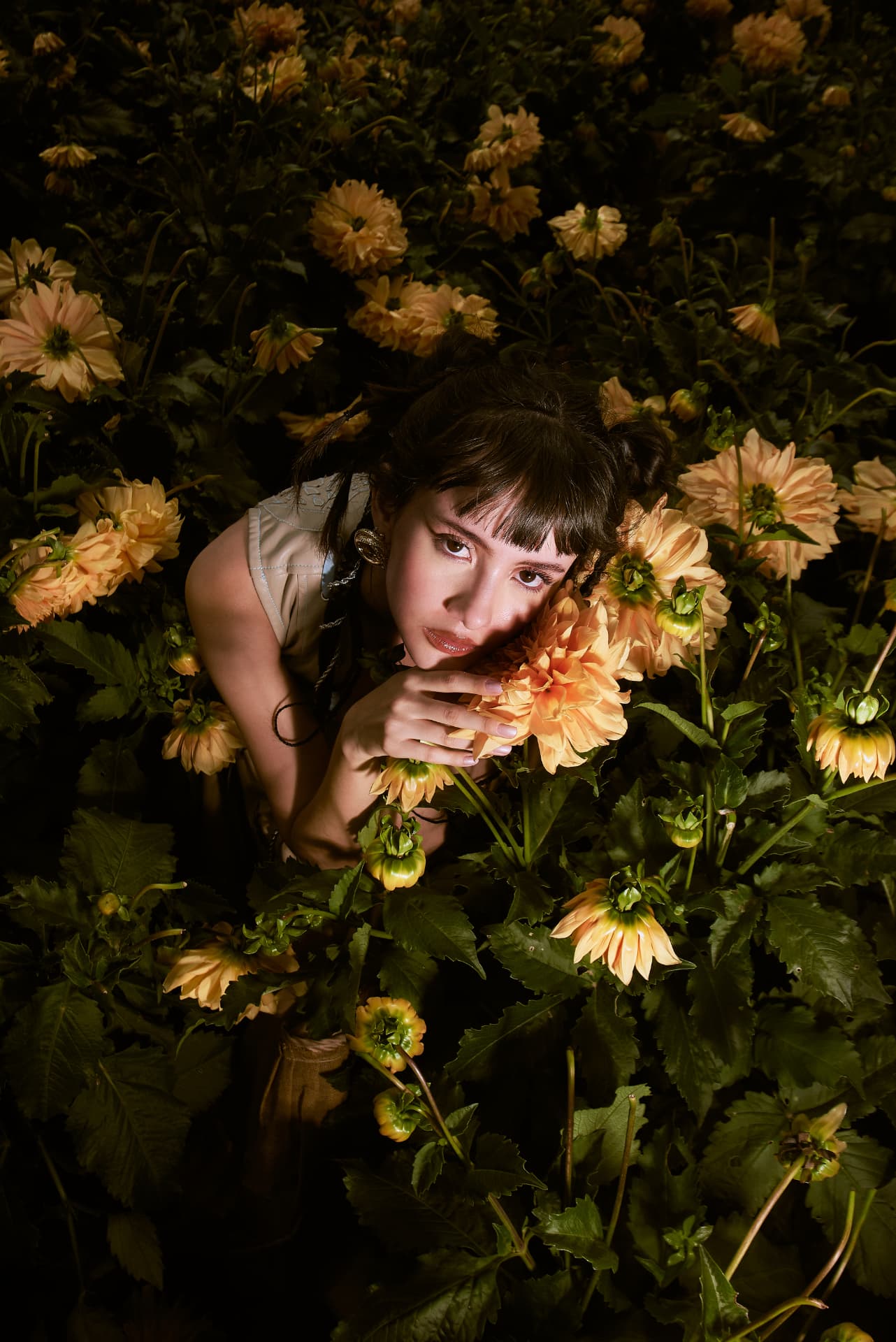 DAHLIA FIELDS — 7