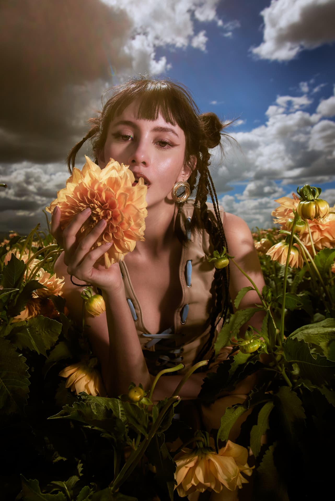 DAHLIA FIELDS — 6